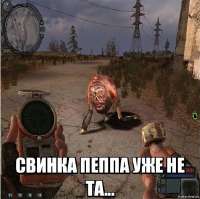 1754670387276.jpg