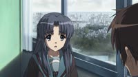 17546806454550.webm