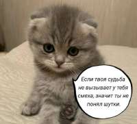 26a83cff-fc82-48eb-ae1c-0f365b9f8f9f.jpeg