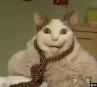 17301229490140.mp4