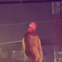 17549397266060.webm