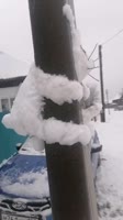 16902047079783.mp4