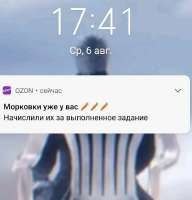 175449066206025302.jpg