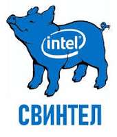 17017947916700.jpg