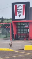 -6100289458871932932.mp4