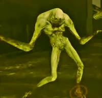 17533357814543.webm