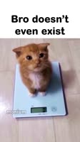 Bro is 0 grams 😭.mp4
