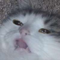 1666582569039.jpg