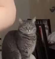 16875173945100.png
