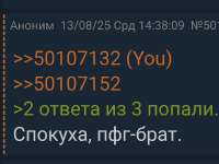 Screenshot20250813144325Yandex Browser.png