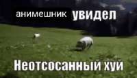 1755263371081.gif