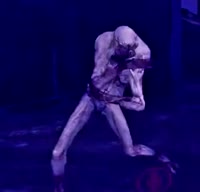 17533357814543.webm
