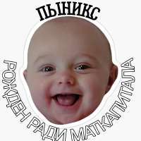 пыникс.jpg