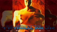 #2 - You Will Fall [REMASTERED] - Tribal Ink.mp4