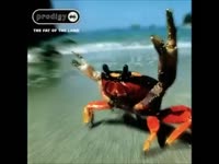 The Prodigy - Diesel Power.mp4