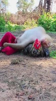 ЛЯГУШКА ОБЕЗЬЯНКА И ПЕТУХ.mp4
