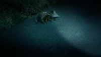 The Prodigy - Wild Frontier (Official Video).mp4