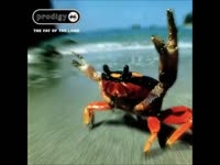 The Prodigy - Fuel My Fire.mp4