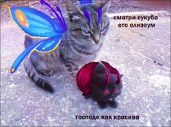 16664687440490.png