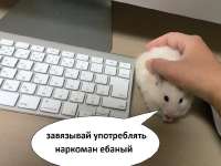 изображение.png