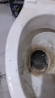 .mp4