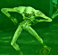 17533357814543.webm