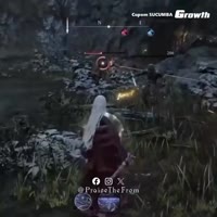 .mp4