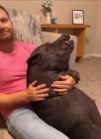 Пи1текждет327.mp4