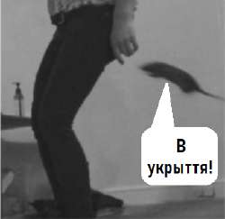 17372351230140.png