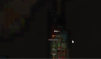 pig2.mp4