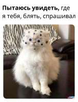 10e7a63f-f44f-462c-8fcb-619420473f36.jpeg