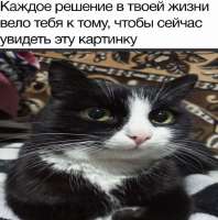 17549630817910.jpg