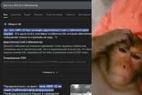 Без имени.jpg