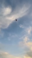17564045116430.mp4
