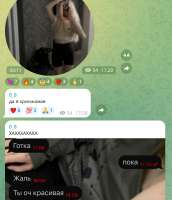 Снимок экрана 2025-08-29 193340.jpg