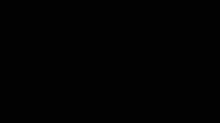 21.mp4