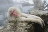 7654.webp