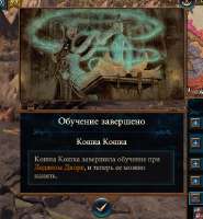 kshksh.png