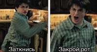 изображение.png