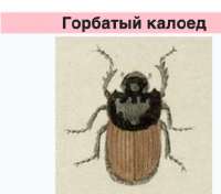 34648769070.png