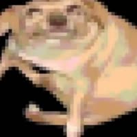 14305929605360.webm