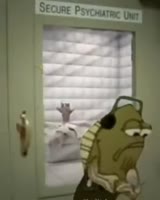 Кисос поехавший.webm
