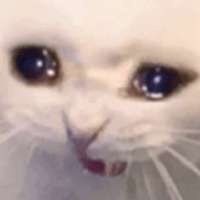 1718132867683.png