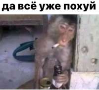 17538189418540.jpg