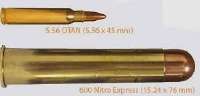 600-nitro-express-from-a-revolver.webp