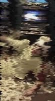 17559025642840.mov