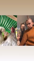 17077591042610.mp4