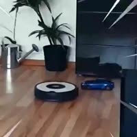 17449756769080.mp4