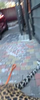 17437303384270.mp4