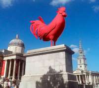 redrooster.jpg